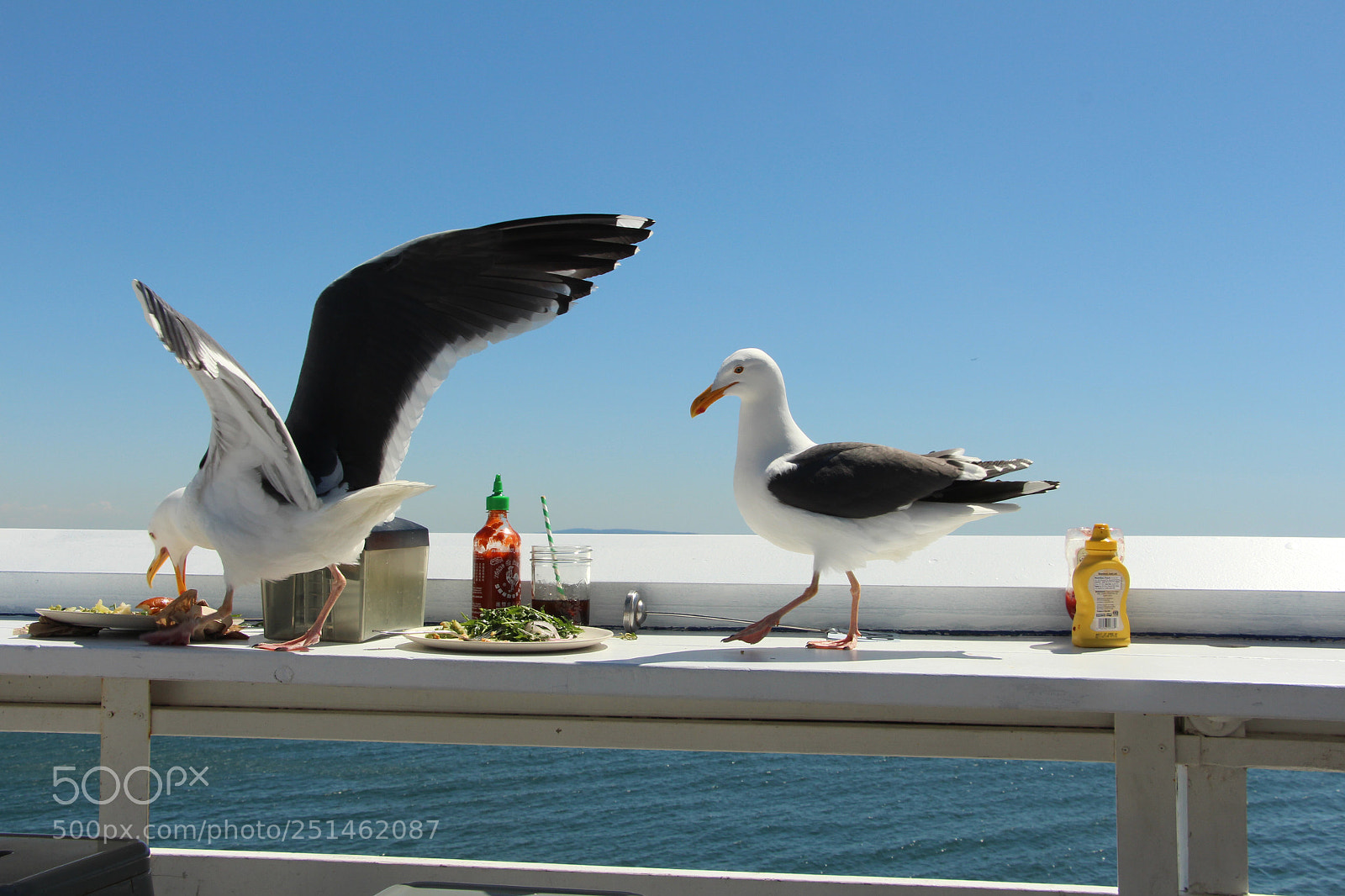 Canon EOS 700D (EOS Rebel T5i / EOS Kiss X7i) sample photo. A little lunch for photography