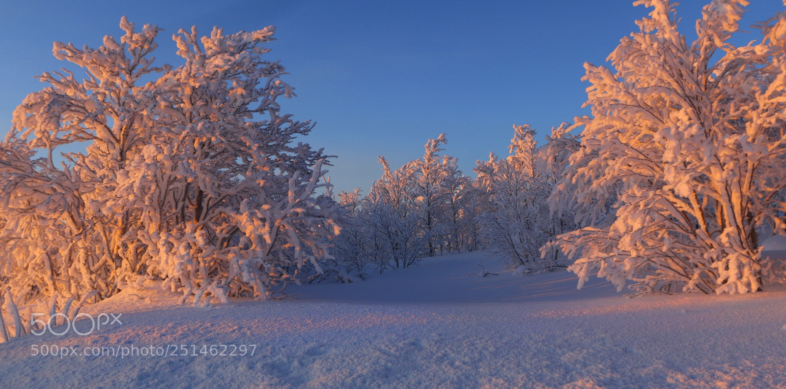 Canon EOS 70D sample photo. Зимний день. winter day. photography