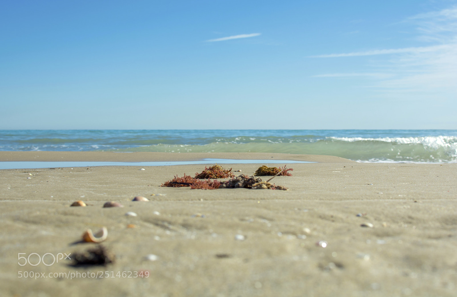 Nikon D5200 sample photo. Una ma ana en photography