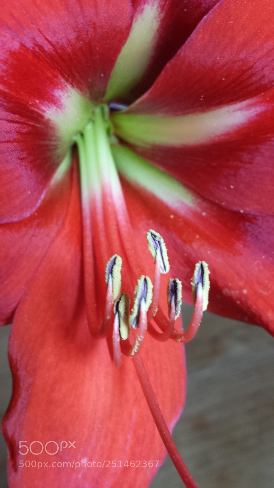 Samsung Galaxy S4 sample photo. Untitled photography