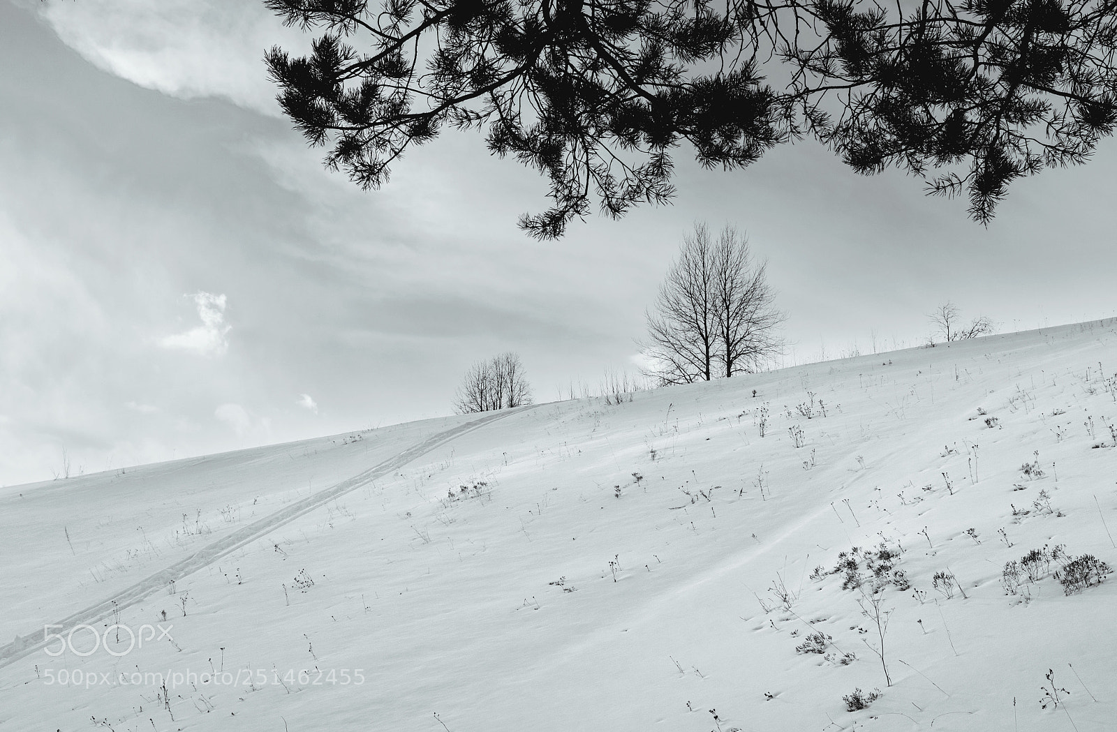 Fujifilm X100F sample photo. ... photography