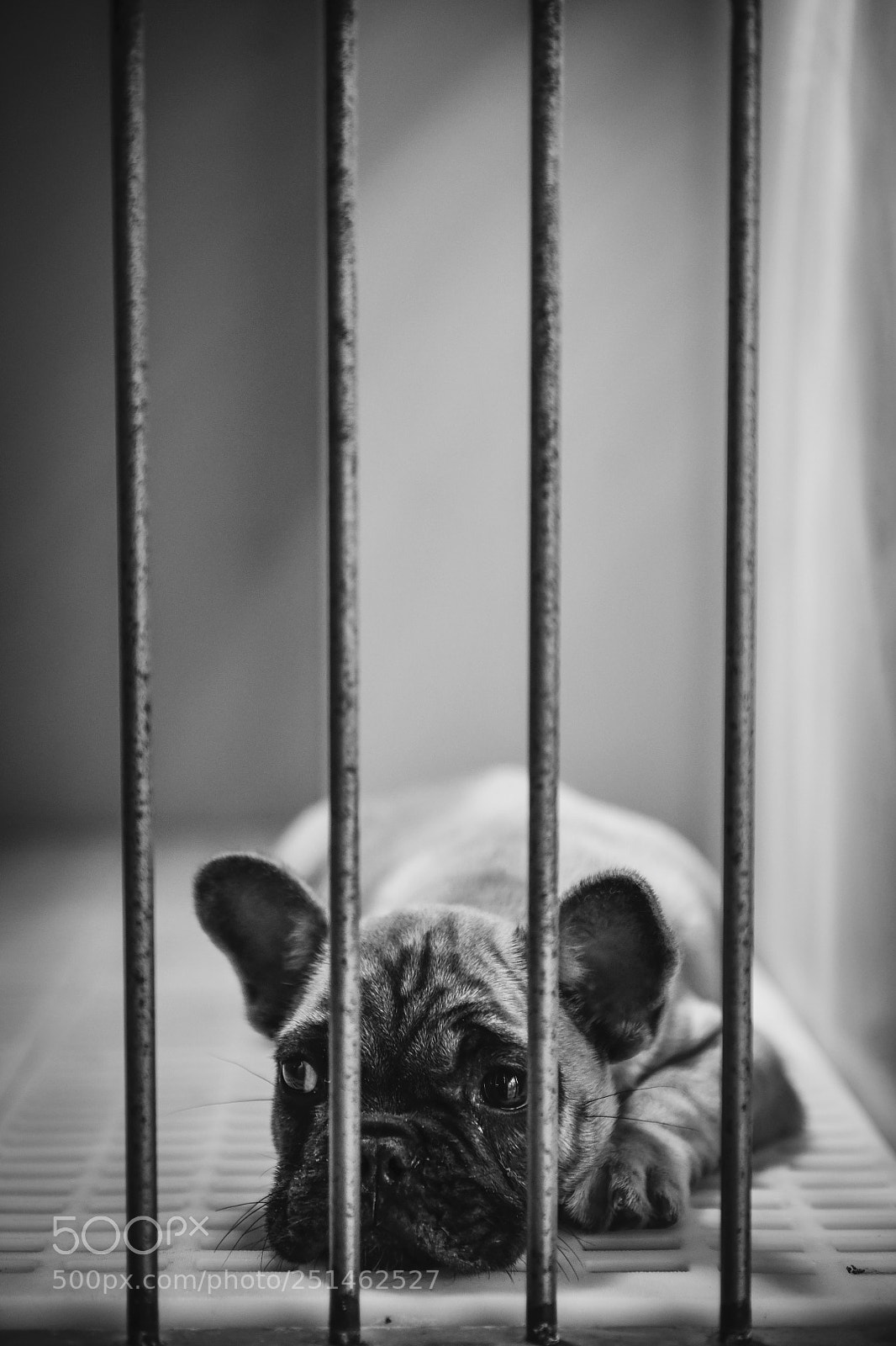 Nikon D850 sample photo. Untitled photography
