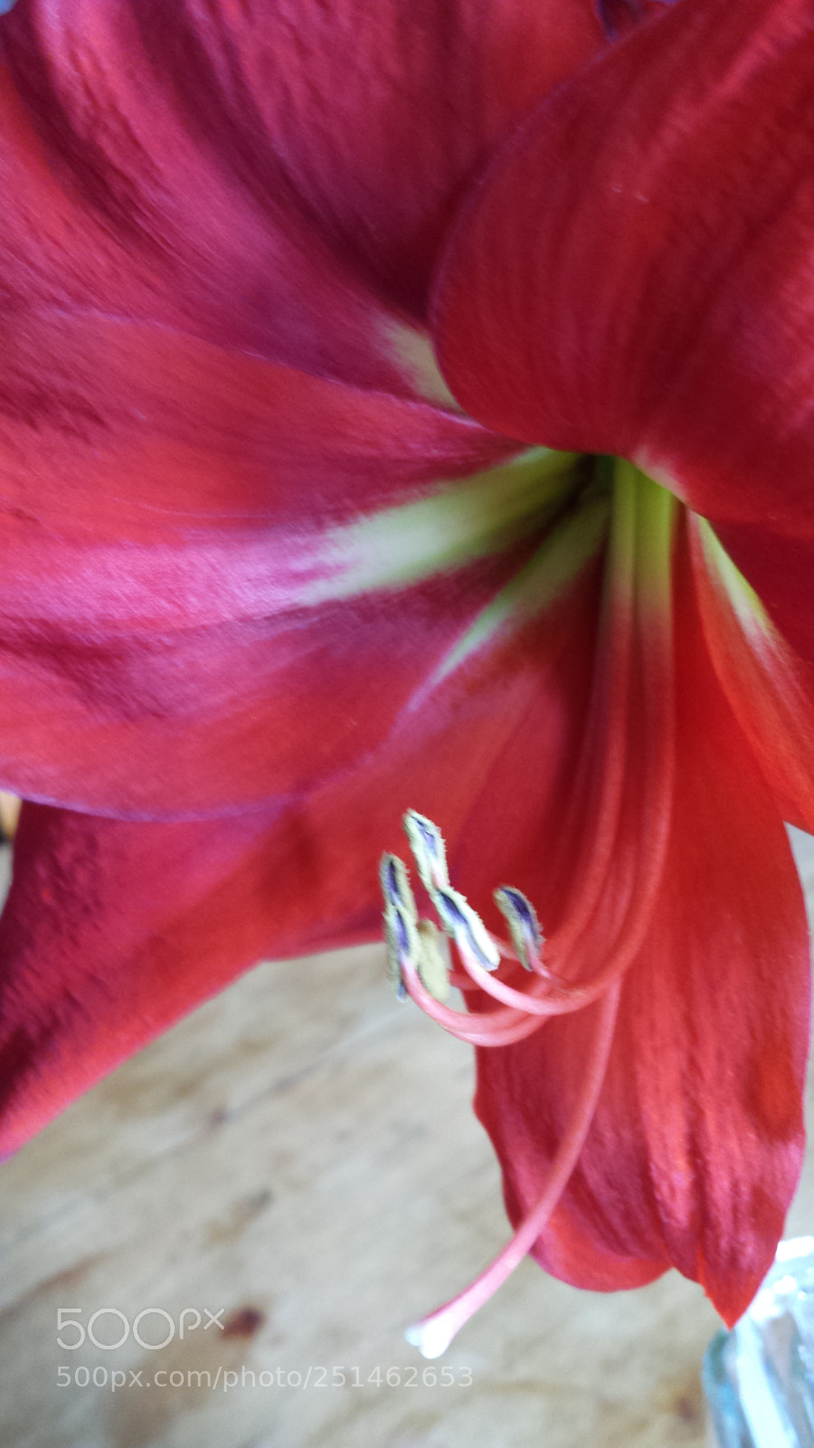 Samsung Galaxy S4 sample photo. Untitled photography