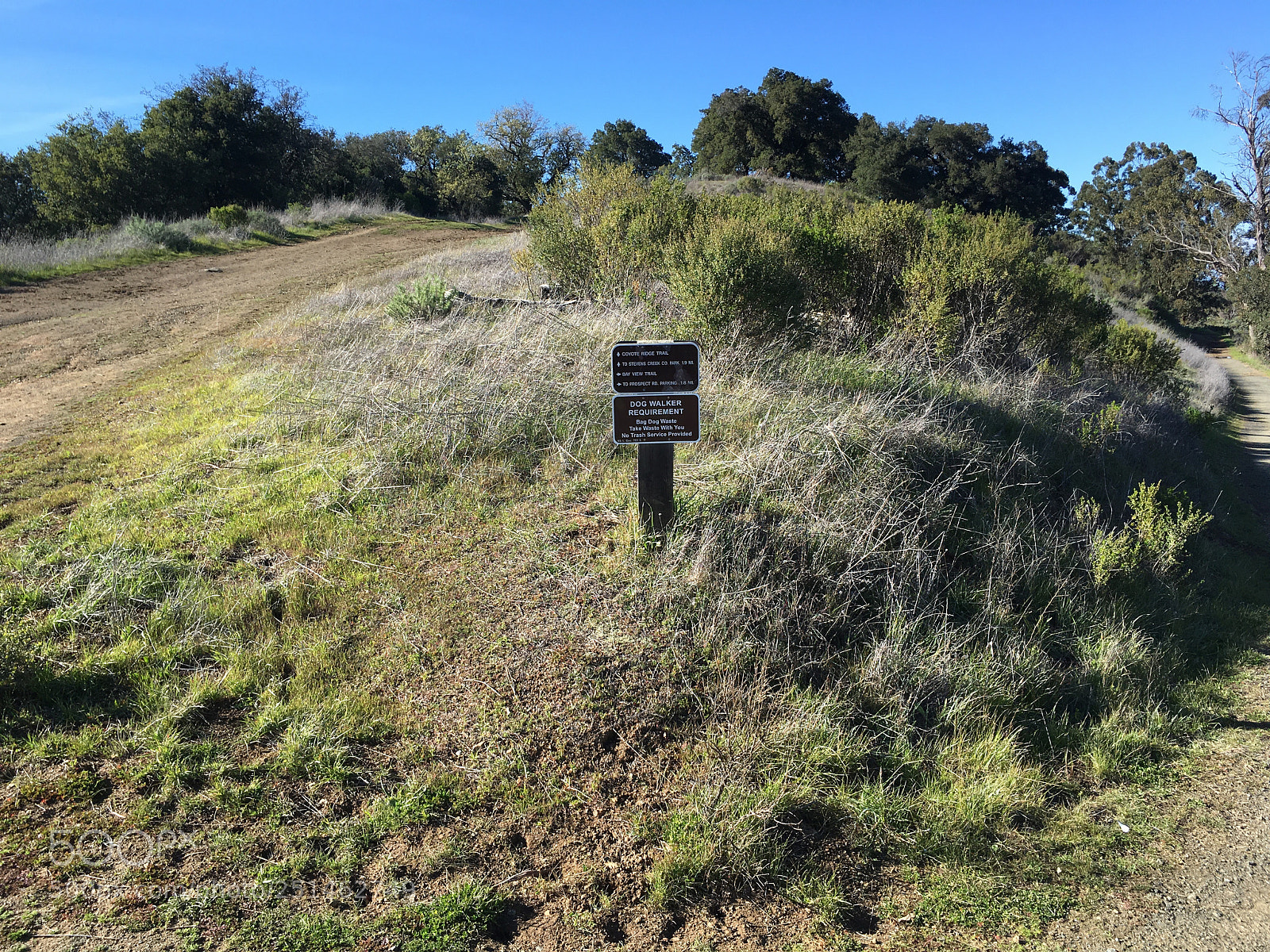 Apple iPhone 6s Plus sample photo. Coyote ridge trail junction photography