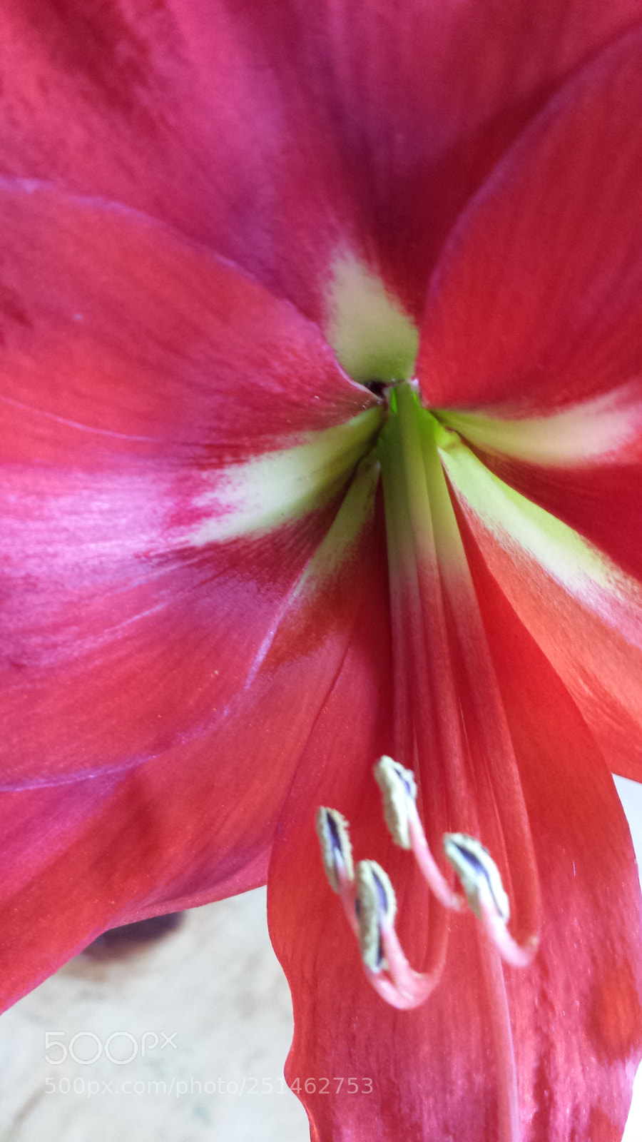Samsung Galaxy S4 sample photo. Untitled photography