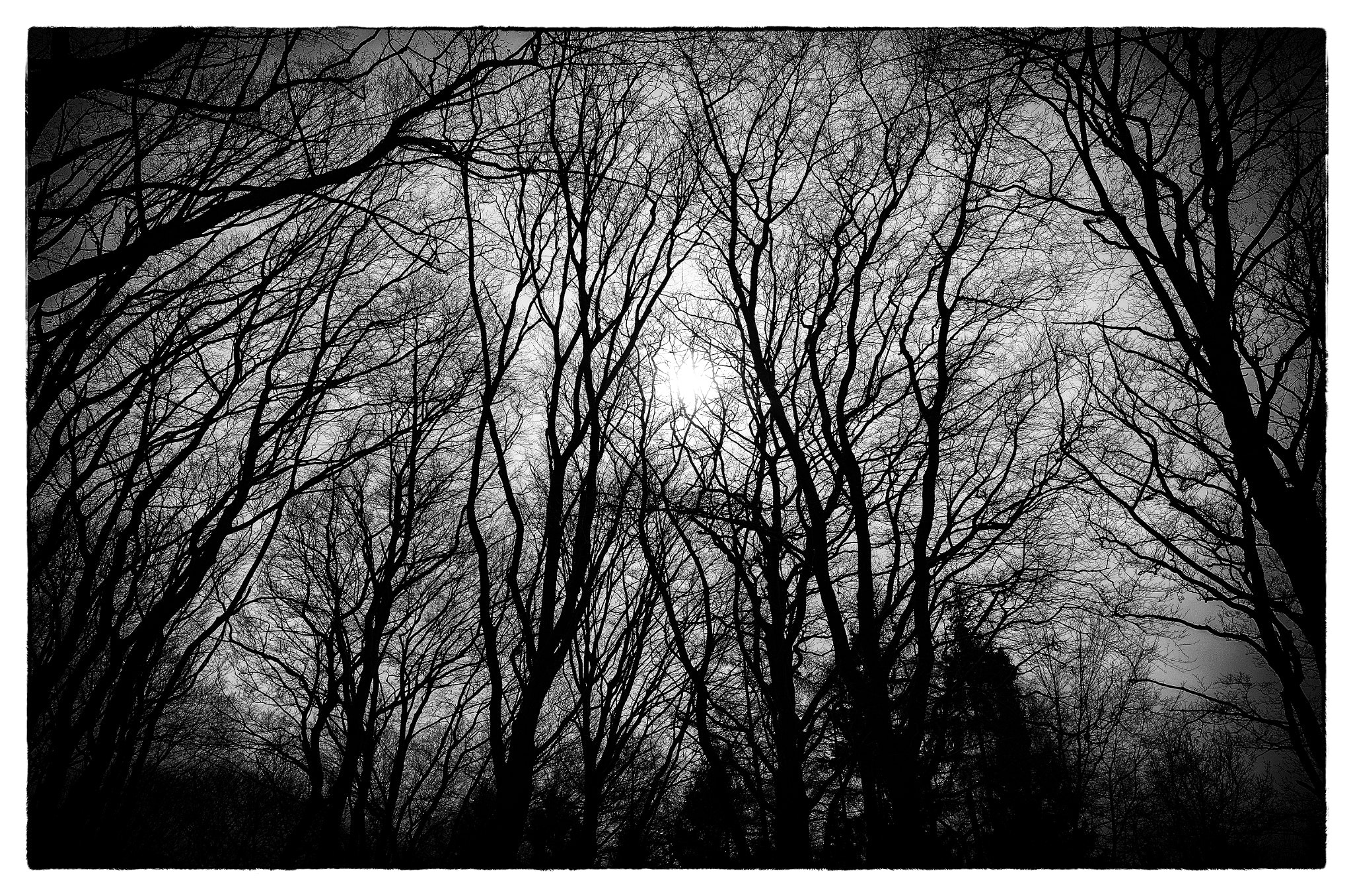 Nikon Coolpix A sample photo. In mind photography