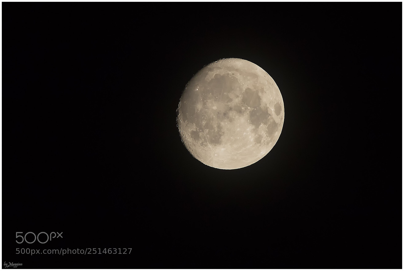 Canon EOS 80D sample photo. Untitled photography