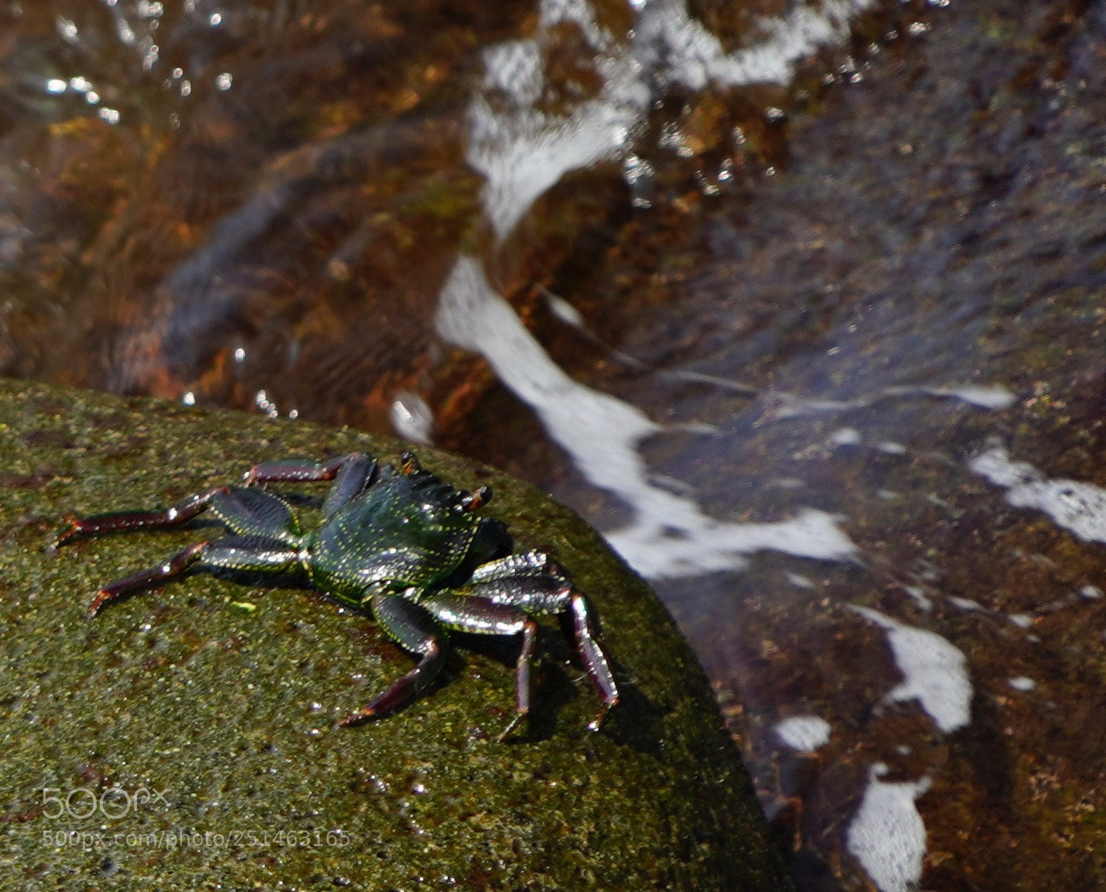 Sony a9 sample photo. Rocks photography