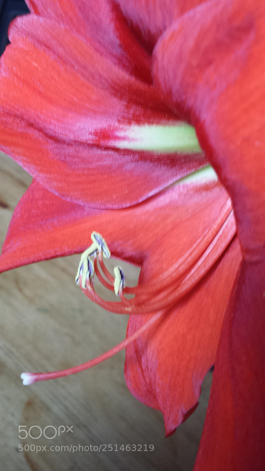 Samsung Galaxy S4 sample photo. Untitled photography