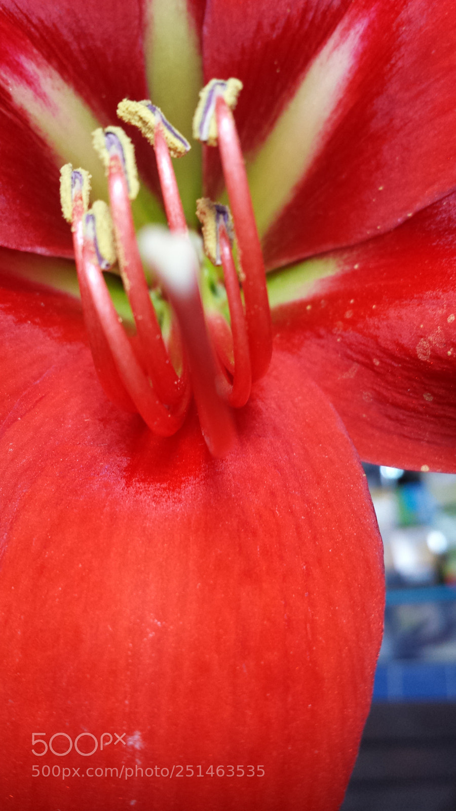 Samsung Galaxy S4 sample photo. Untitled photography