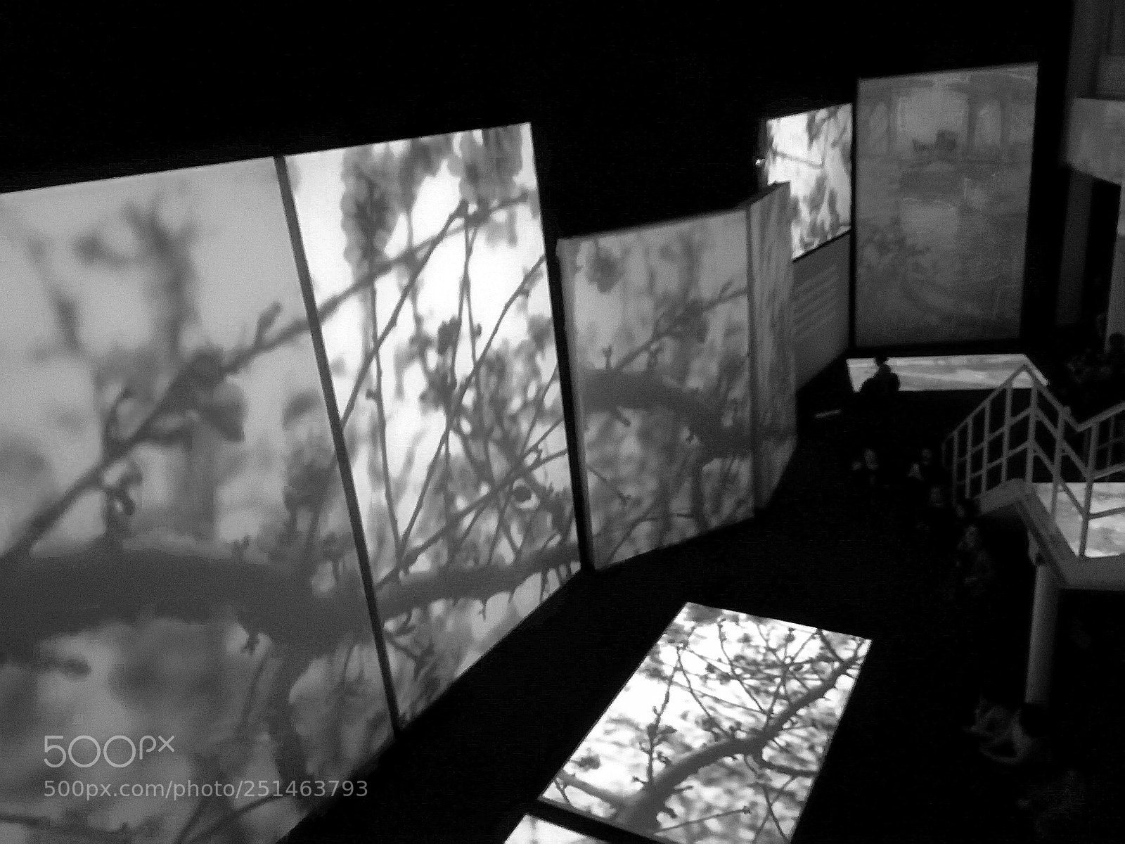 HUAWEI P10 lite sample photo. Van gogh exhibition athens photography