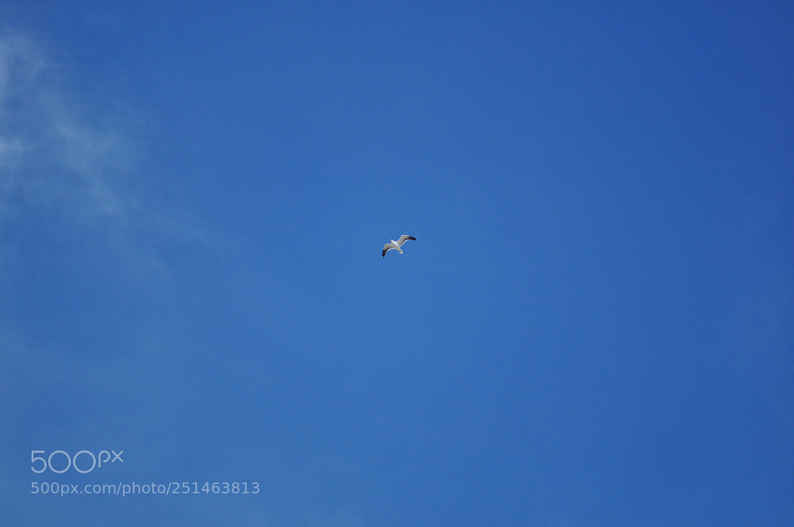 Nikon D5000 sample photo. Minimalism photography