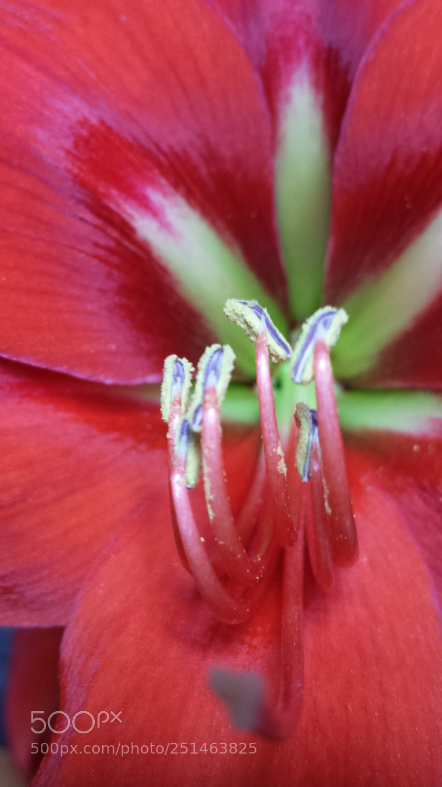 Samsung Galaxy S4 sample photo. Untitled photography