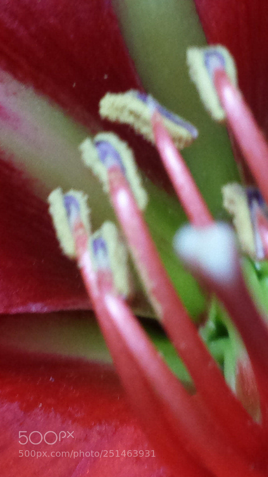 Samsung Galaxy S4 sample photo. Untitled photography