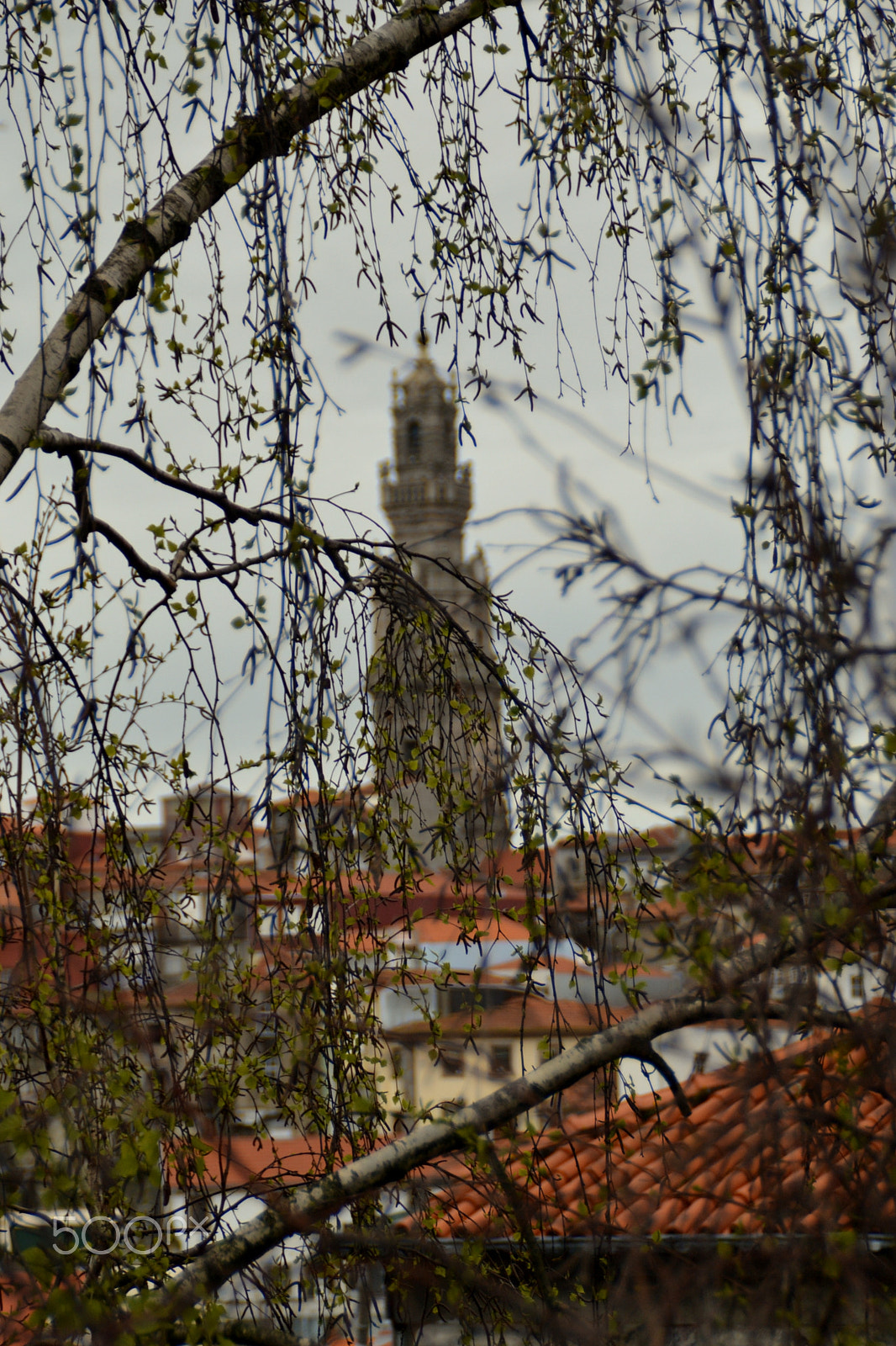 Nikon D3100 sample photo. Porto - torre dos clérigos photography