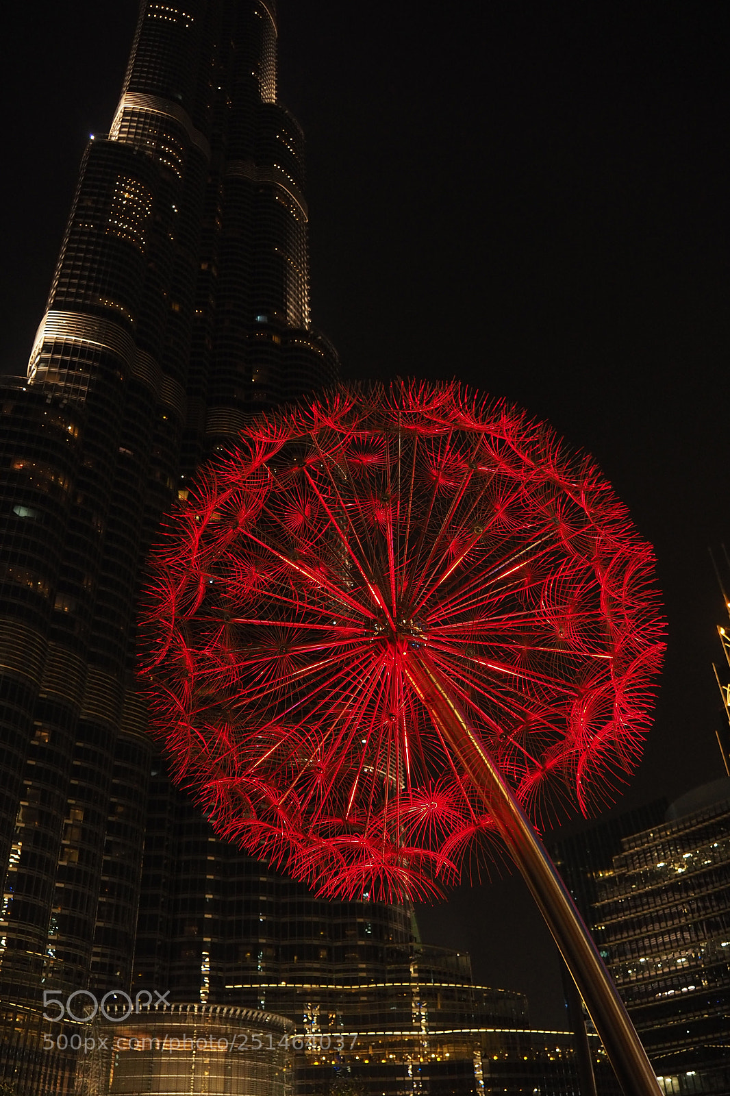 Olympus OM-D E-M10 II sample photo. Red dandelion under the photography