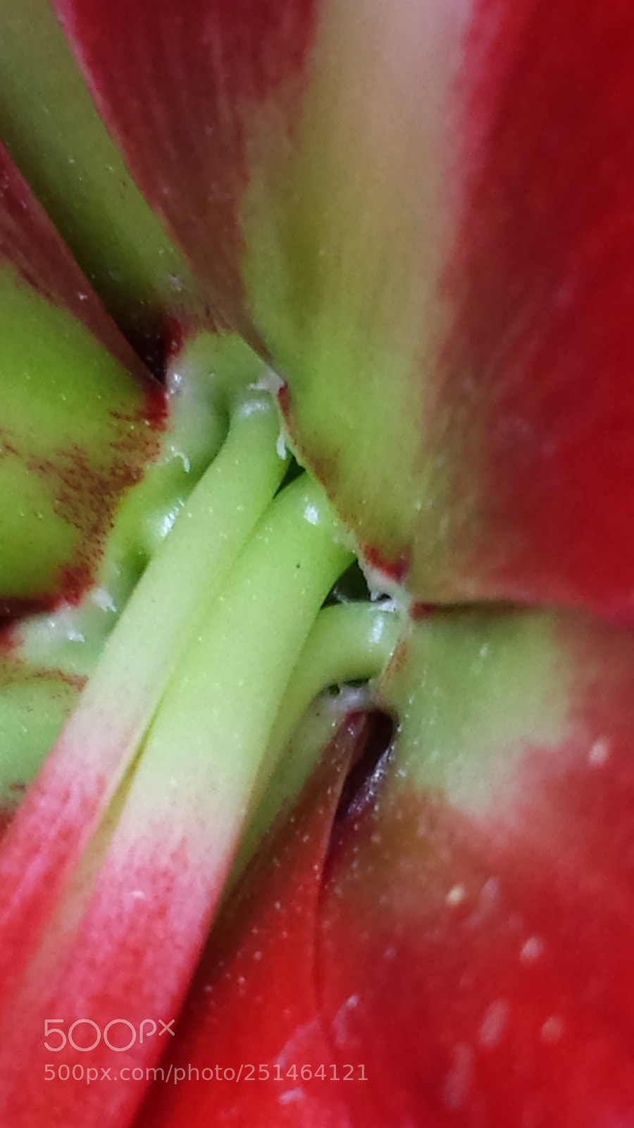 Samsung Galaxy S4 sample photo. Untitled photography