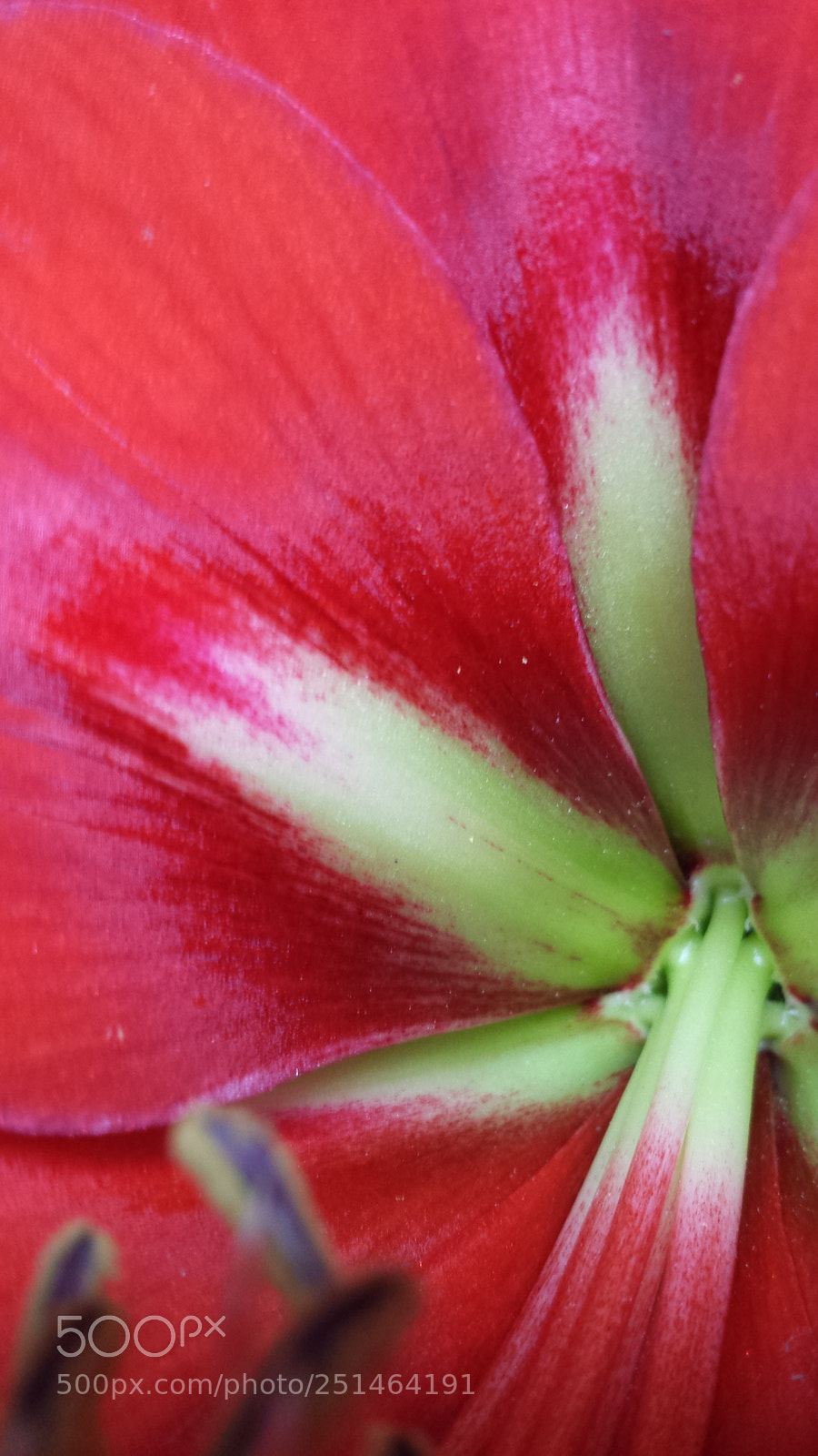 Samsung Galaxy S4 sample photo. Untitled photography