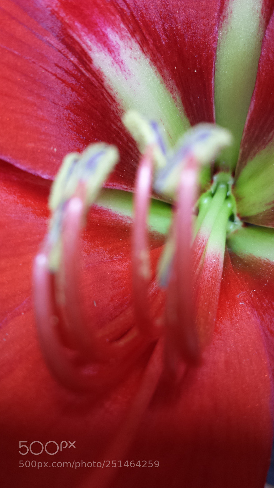 Samsung Galaxy S4 sample photo. Untitled photography