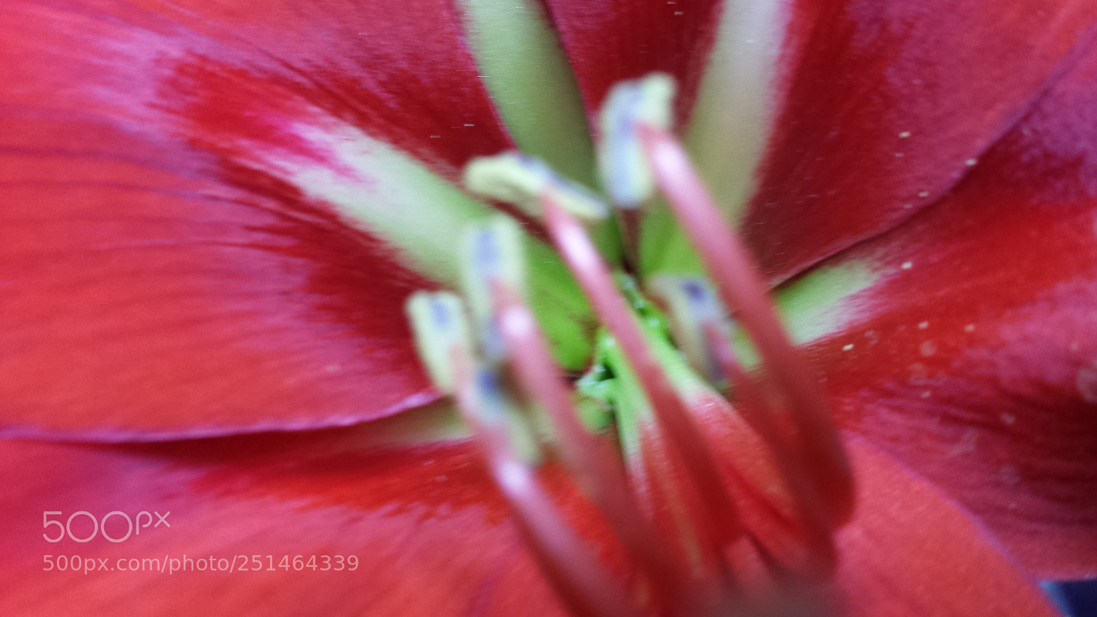 Samsung Galaxy S4 sample photo. Untitled photography