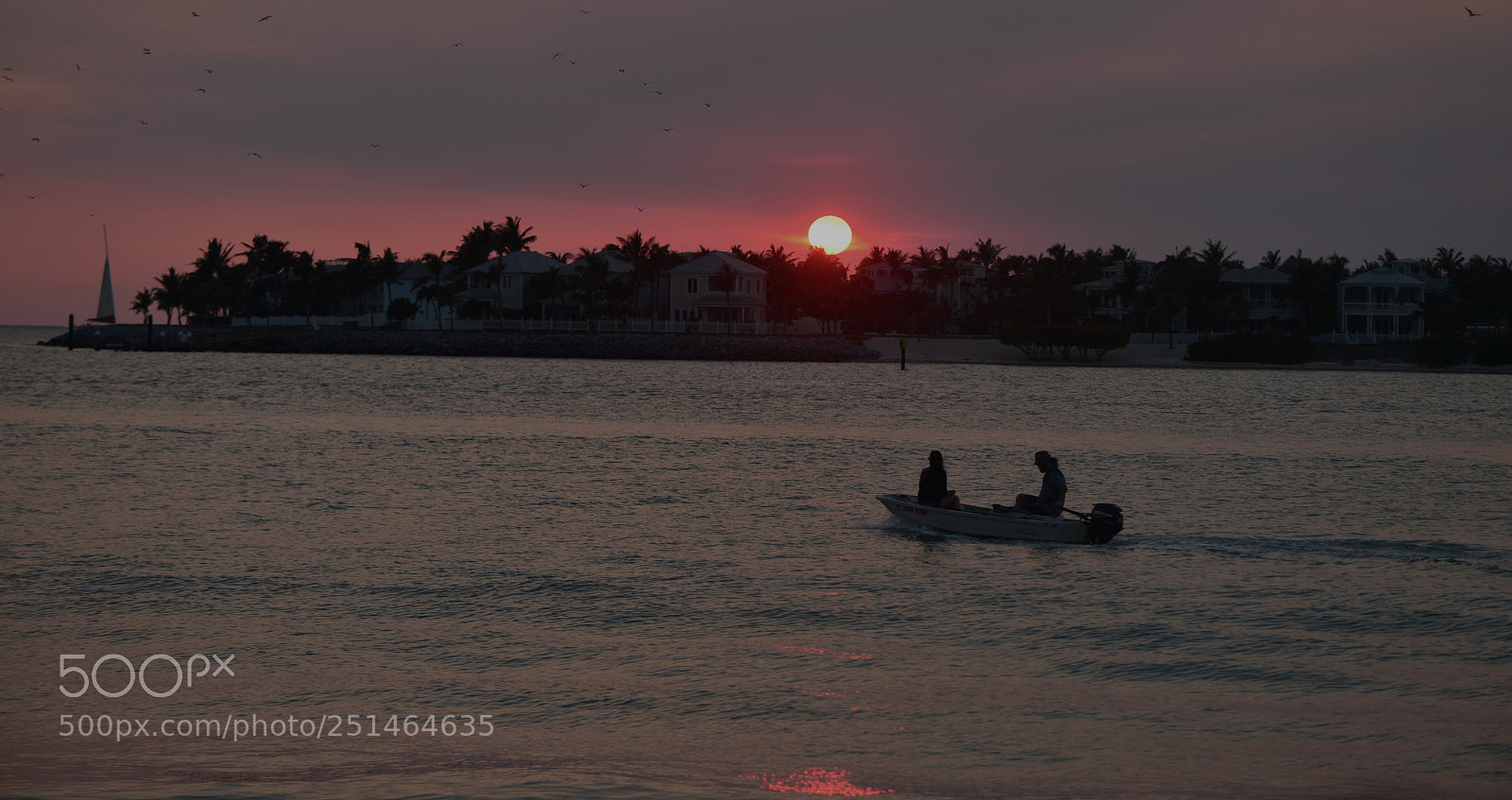 Nikon D800 sample photo. Silhoutte at sunset,key west photography
