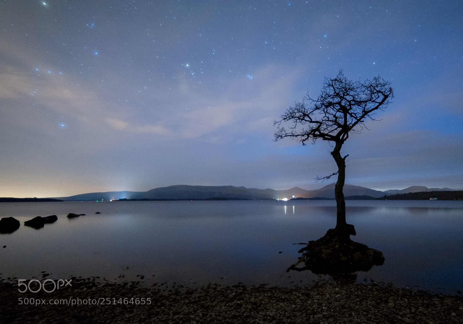 Nikon D700 sample photo. Special tree in loch photography