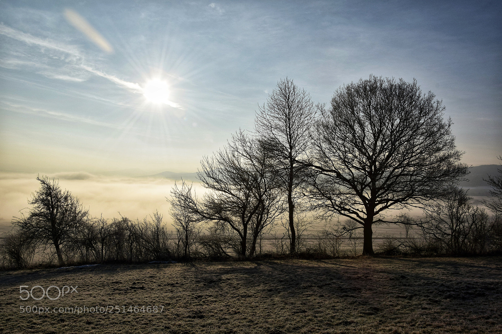Nikon D5300 sample photo. Morning fog photography