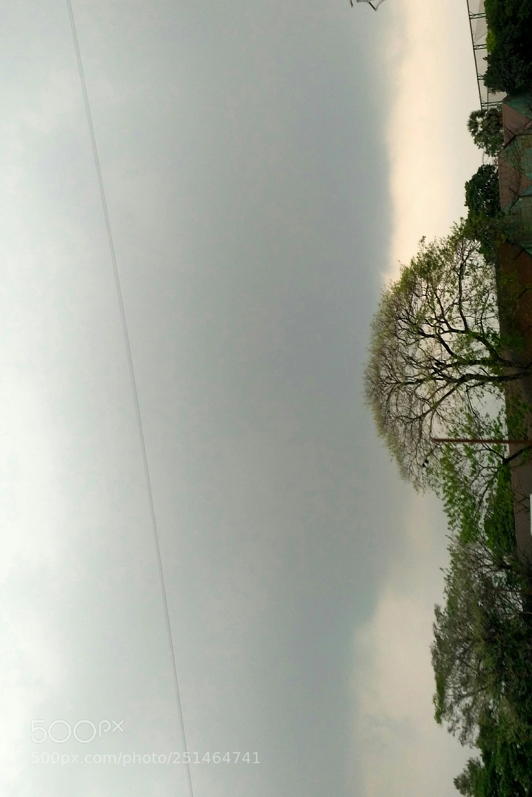Xiaomi Redmi 3S sample photo. Summer rain photography