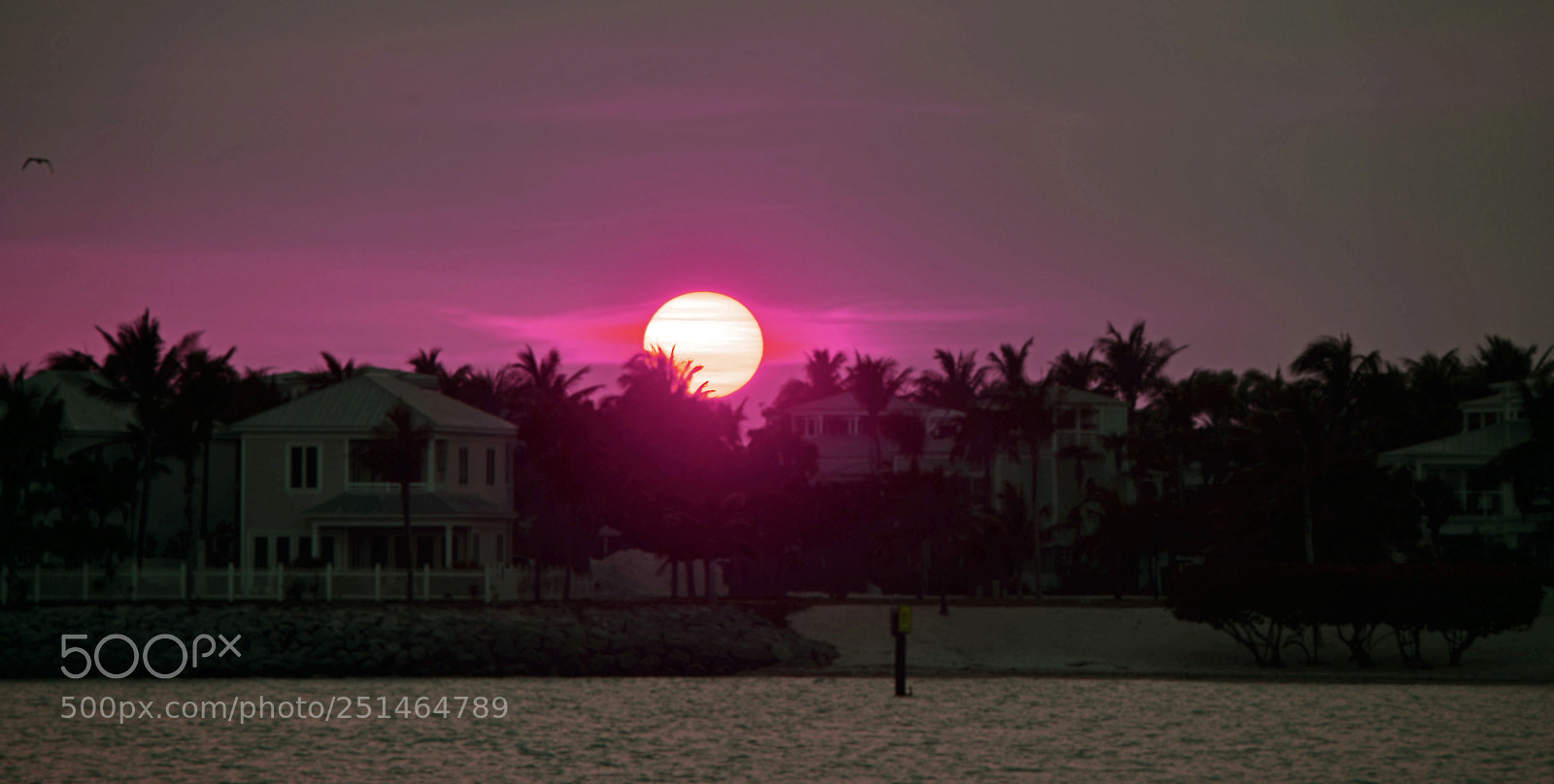 Nikon D800 sample photo. Another day photography