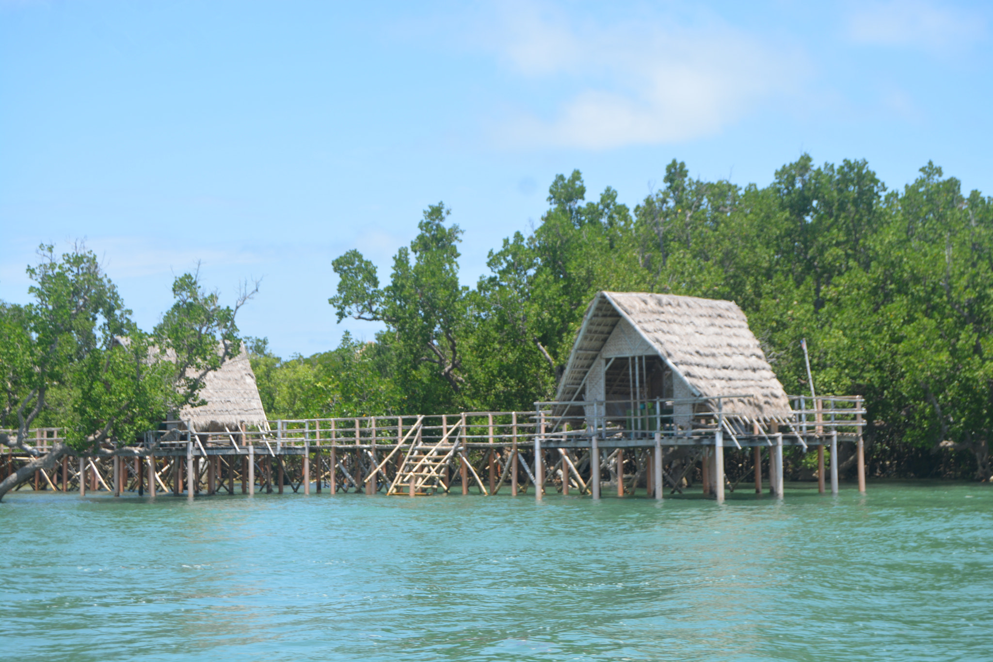 Nikon D5200 sample photo. Suyac island mangrove ecopark, sagay city photography