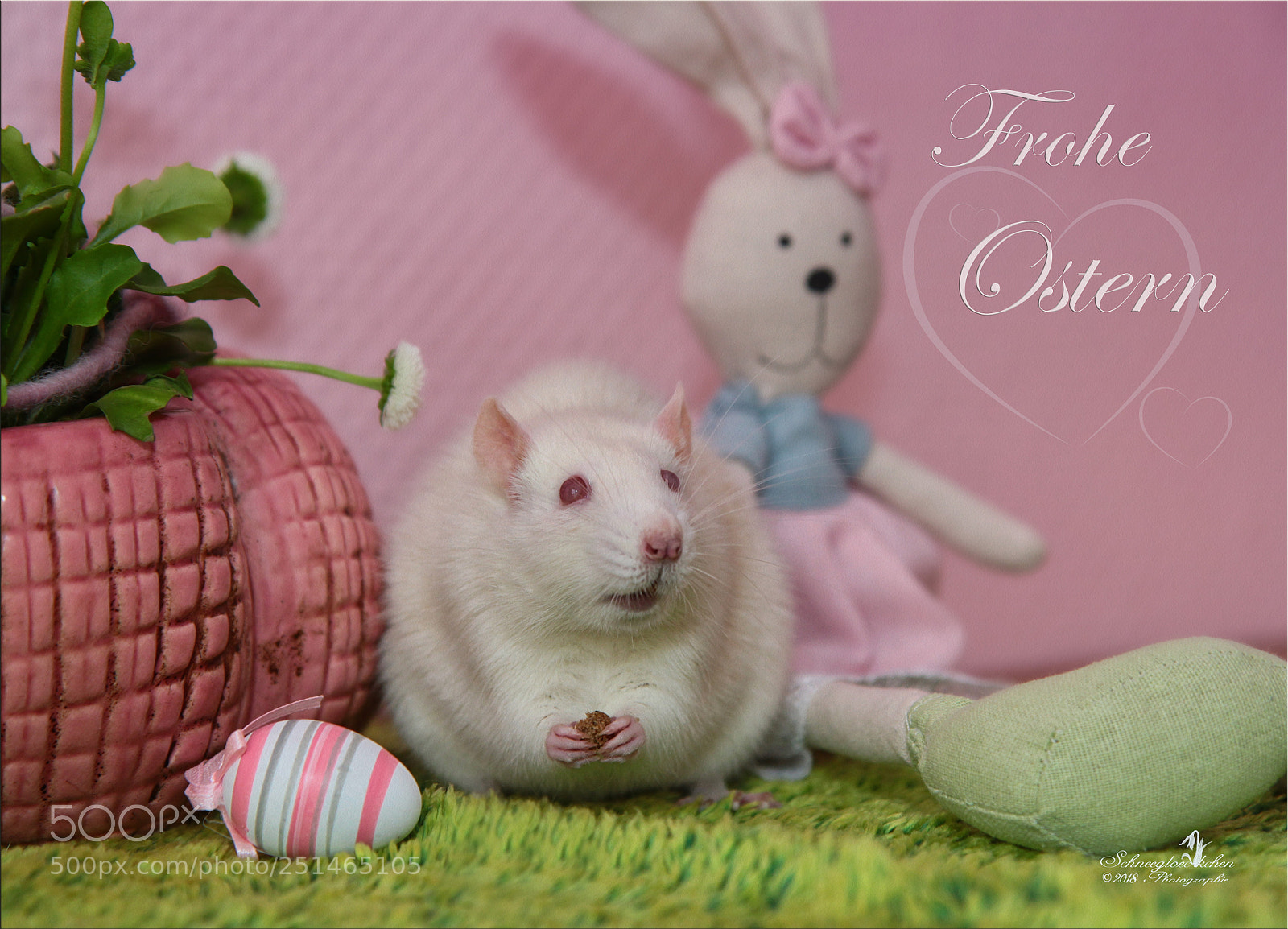 Canon EOS 60D sample photo. Frohe ostern photography