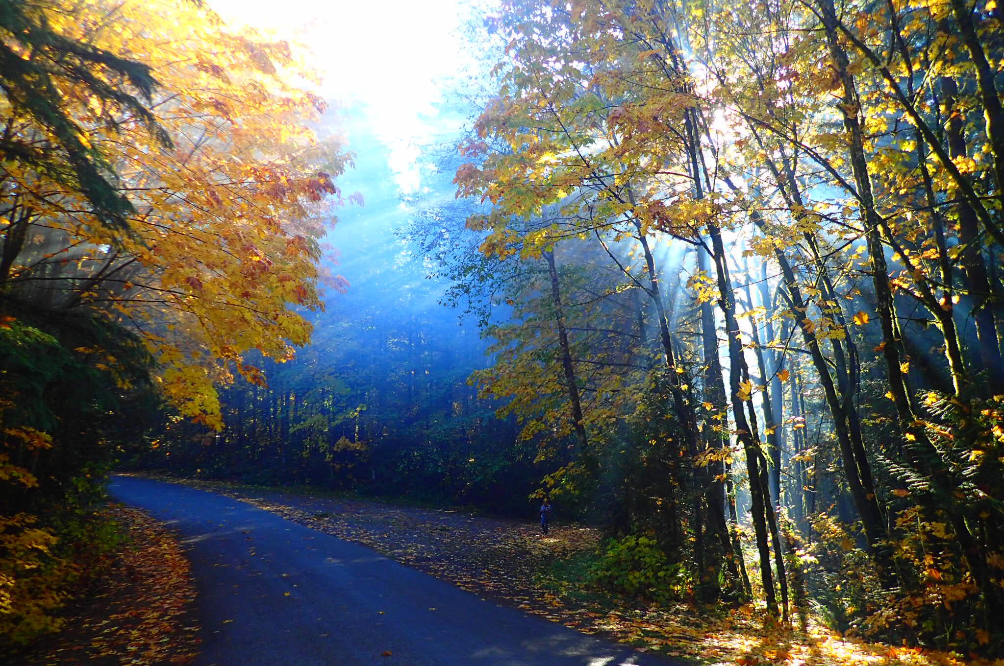 Olympus TG-3 sample photo. The glen  photography