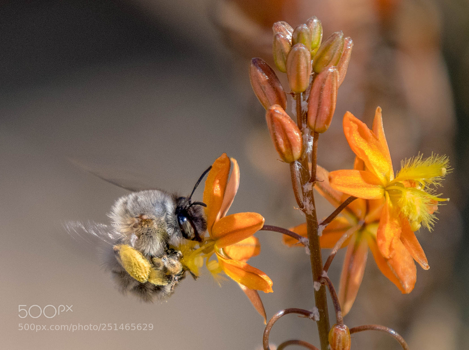 Nikon D500 sample photo. Getting there photography