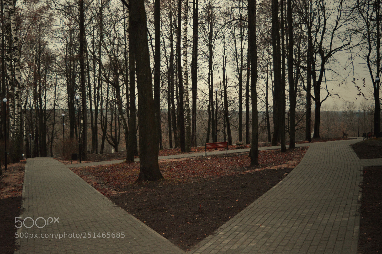Nikon D3200 sample photo. At the crossroads of photography
