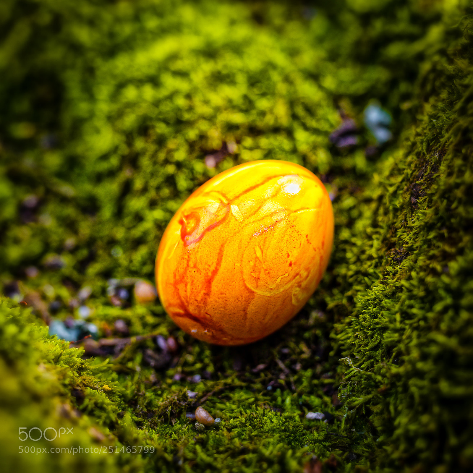Nikon D810 sample photo. -happy easter-2018-frohe ostern- photography