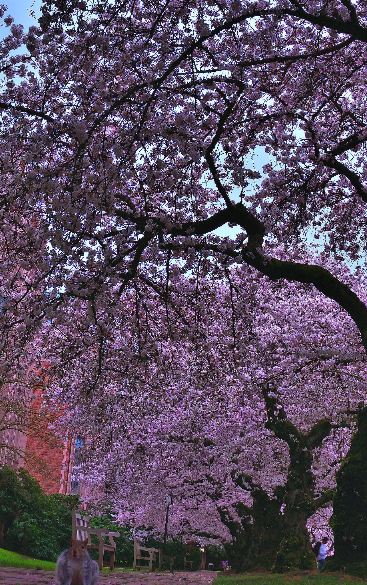 Nikon D5300 + Nikon AF-S DX Nikkor 35mm F1.8G sample photo. Dsc photography