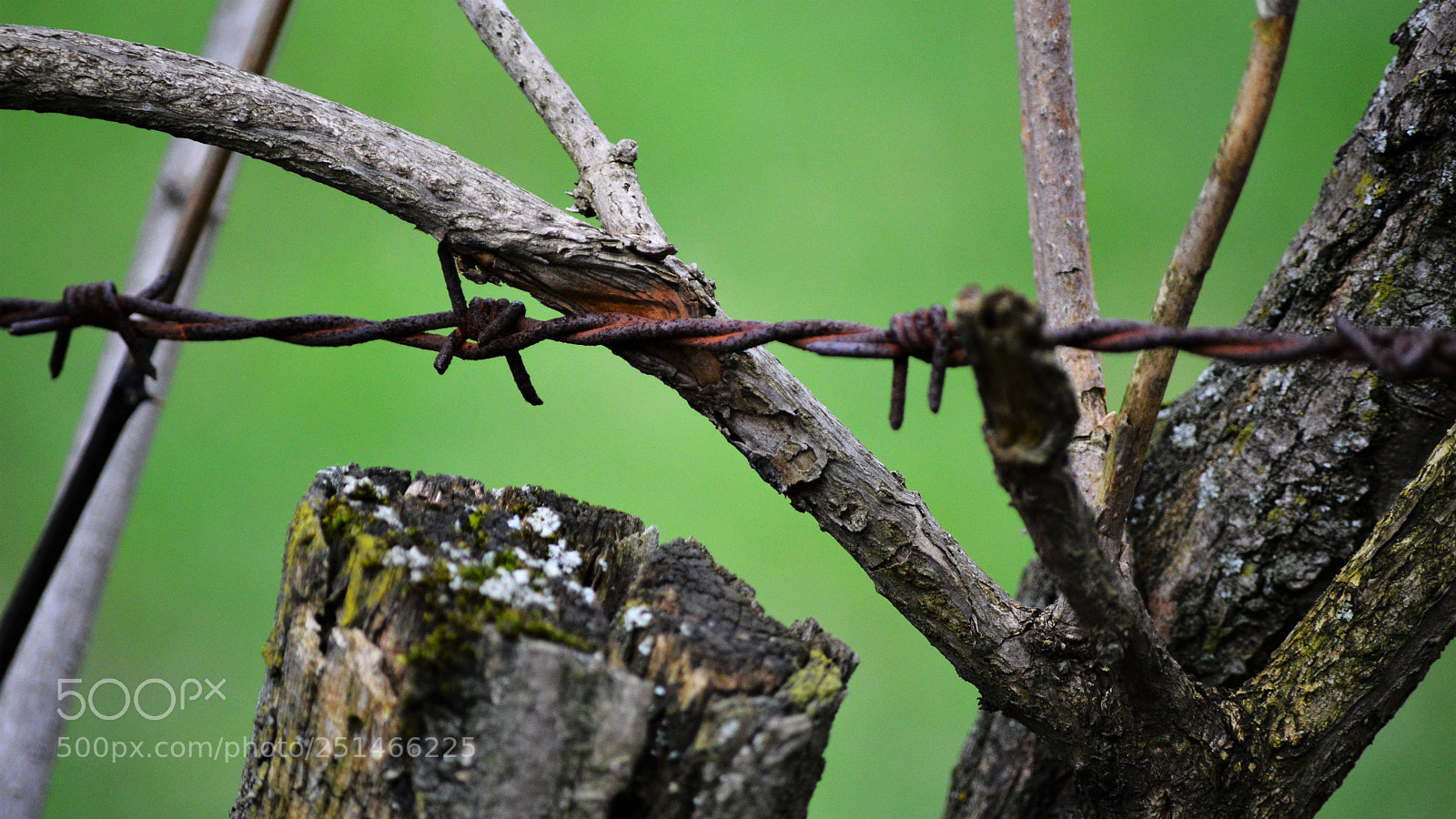 Nikon D3200 sample photo. Untitled photography