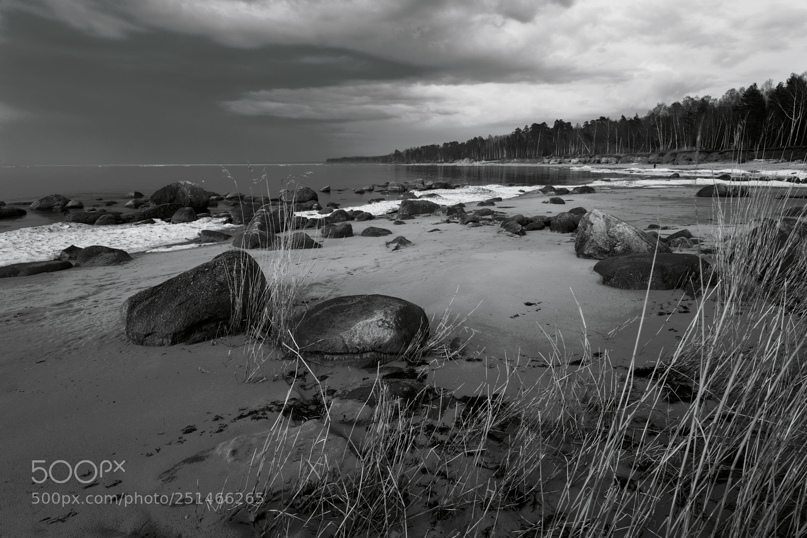 Canon EOS 5D sample photo. B&w photography
