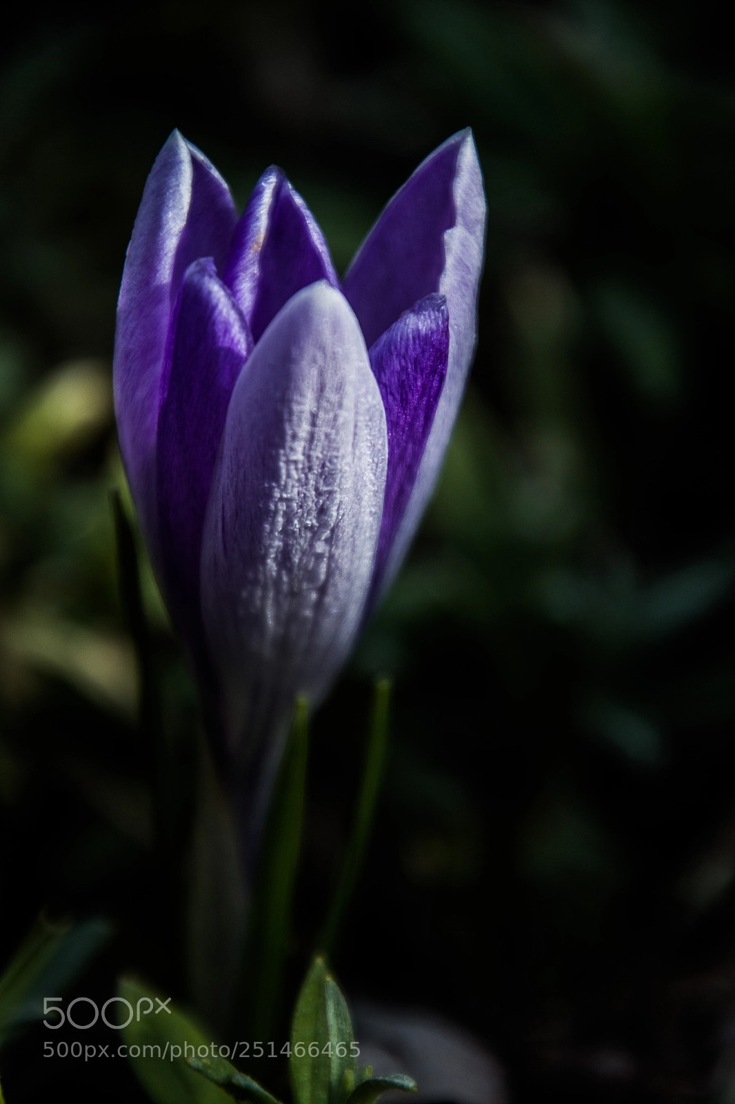Nikon D7100 sample photo. Fresh 30.3.2018 photography