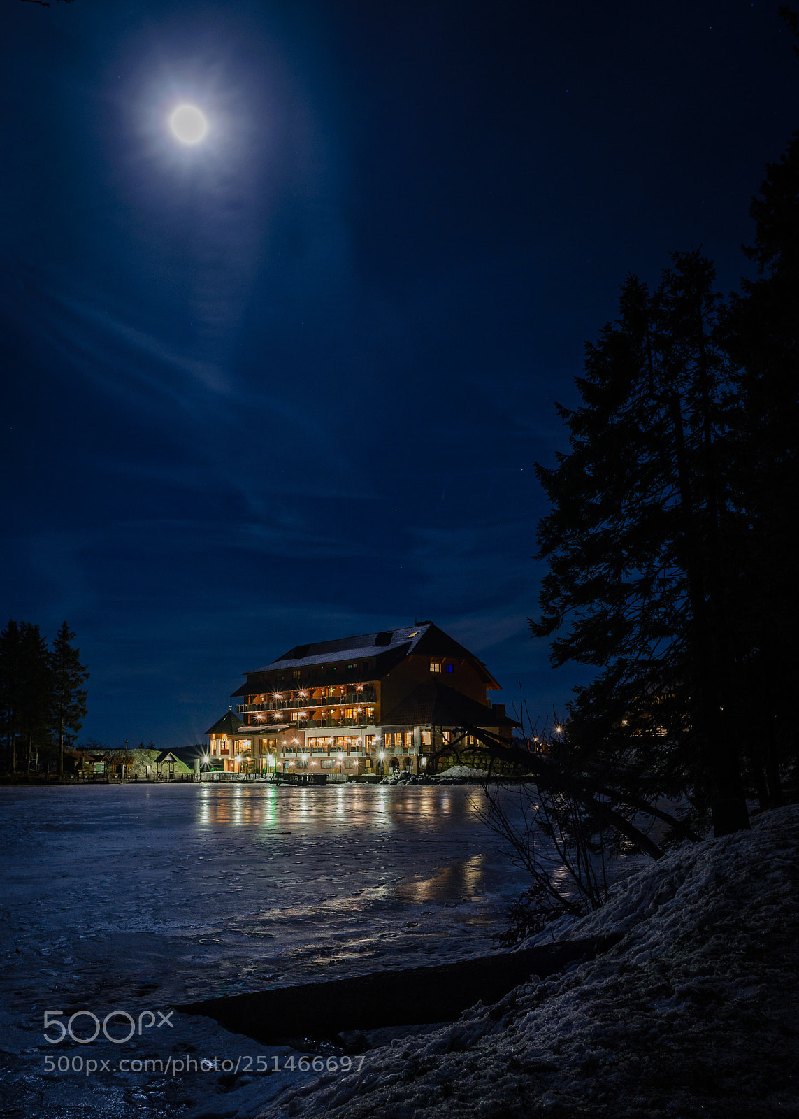 Nikon D610 sample photo. Moonlight - the lake photography