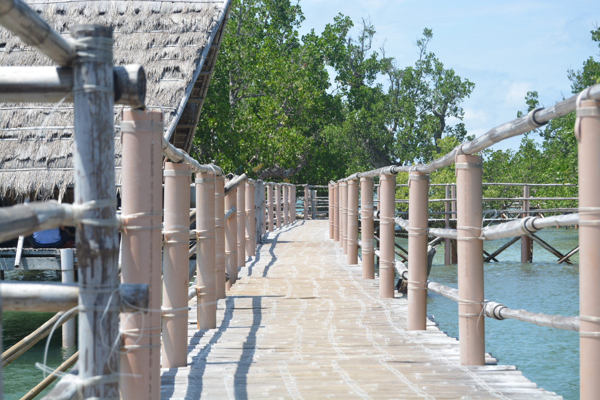 Nikon D5200 sample photo. Suyac island mangrove ecopark, sagay city, philippines photography