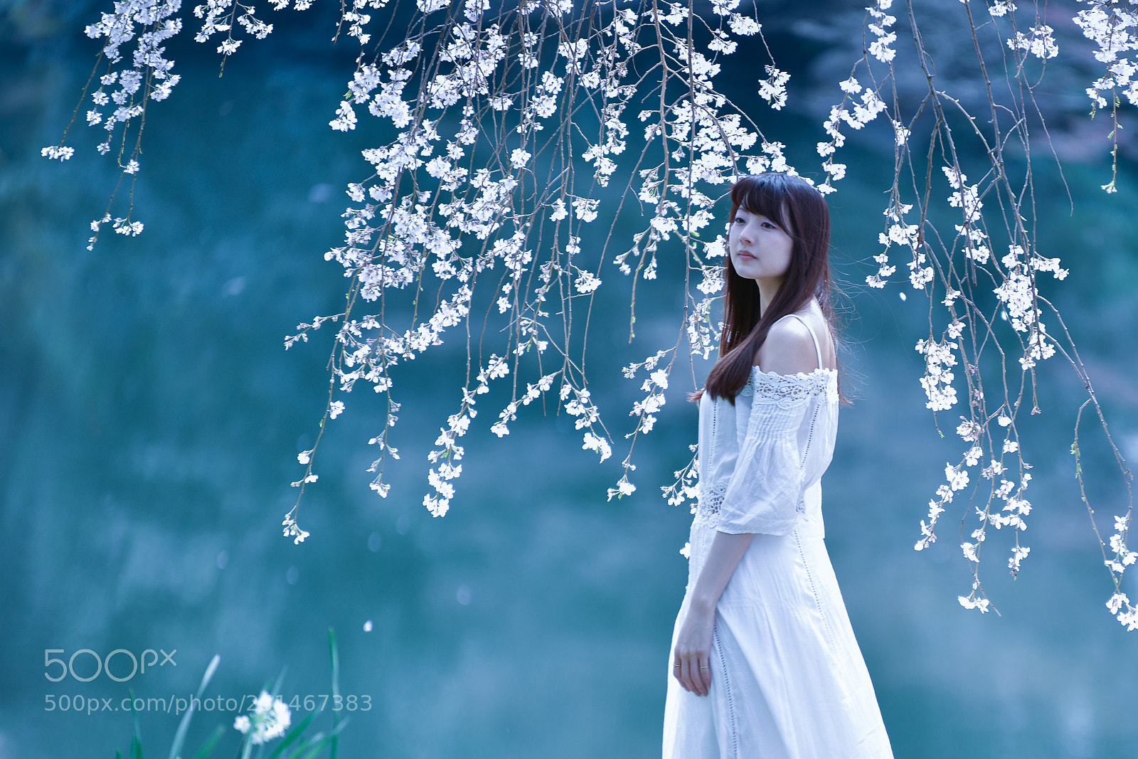 Nikon D850 sample photo. Spring nymph photography