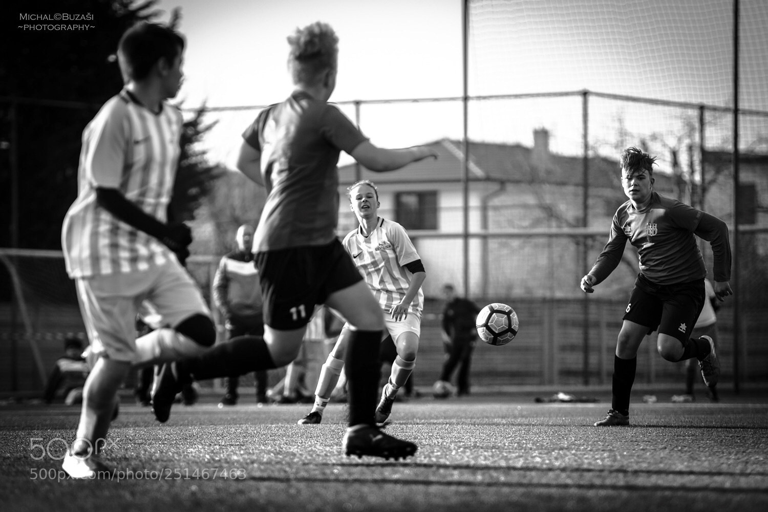 Nikon D500 sample photo. A game photography
