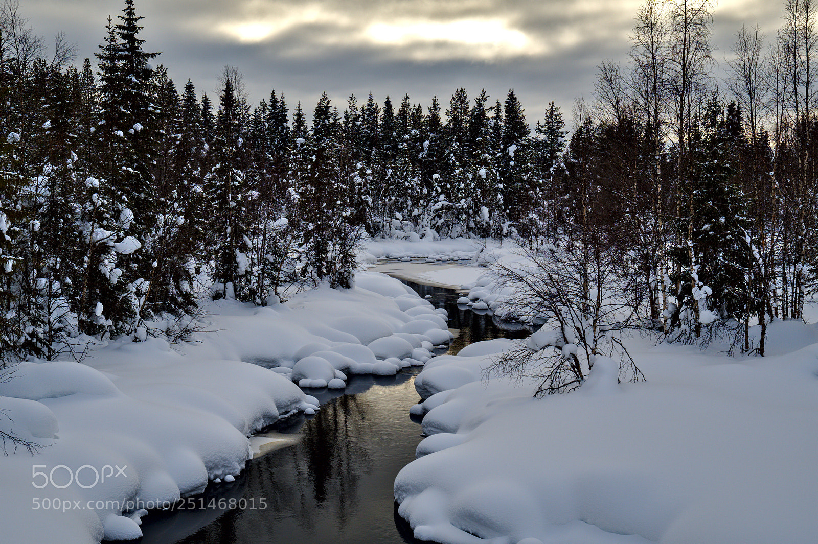 Nikon D500 sample photo. E floss am lapland photography