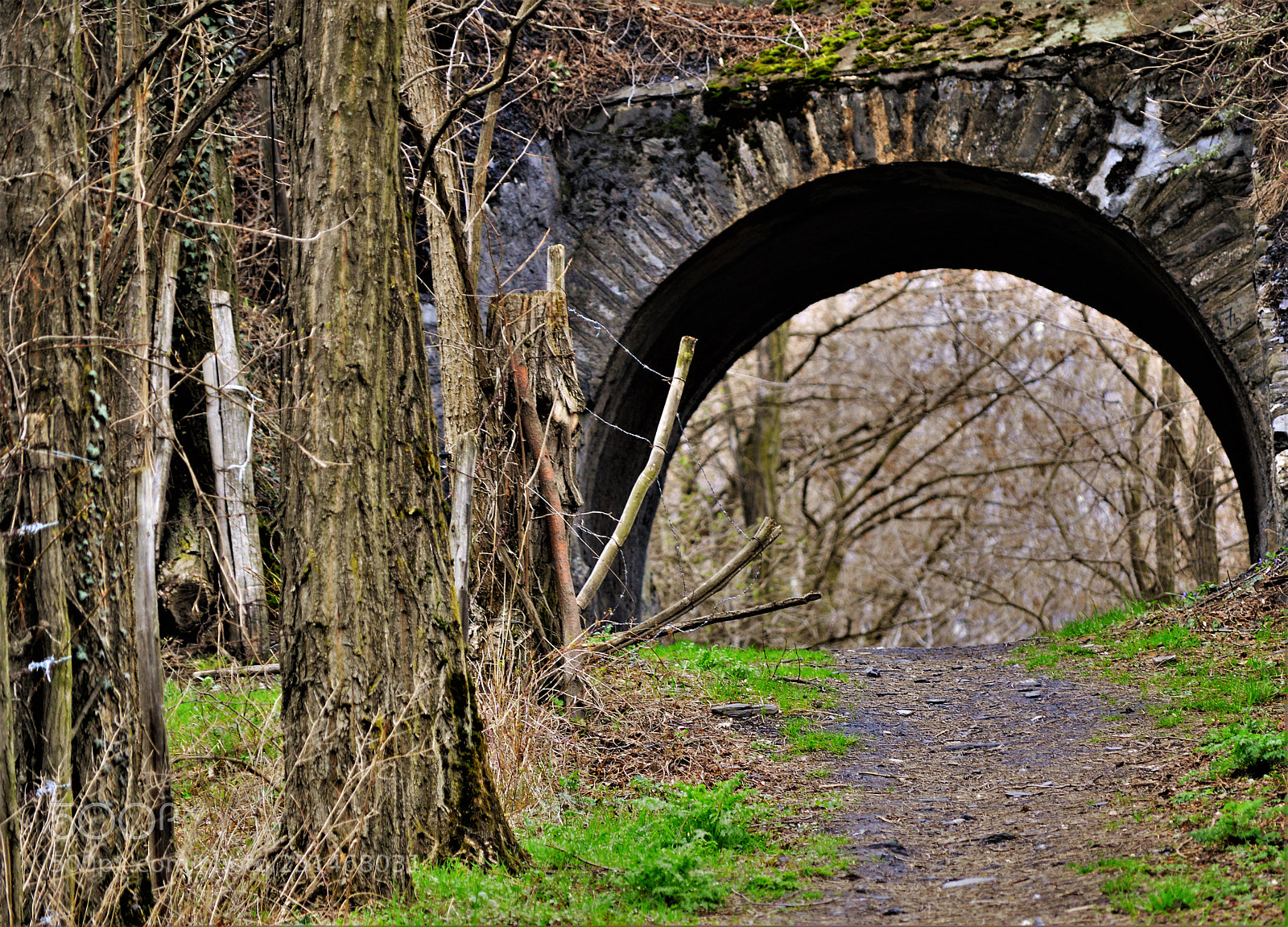 Nikon D3200 sample photo. Untitled photography