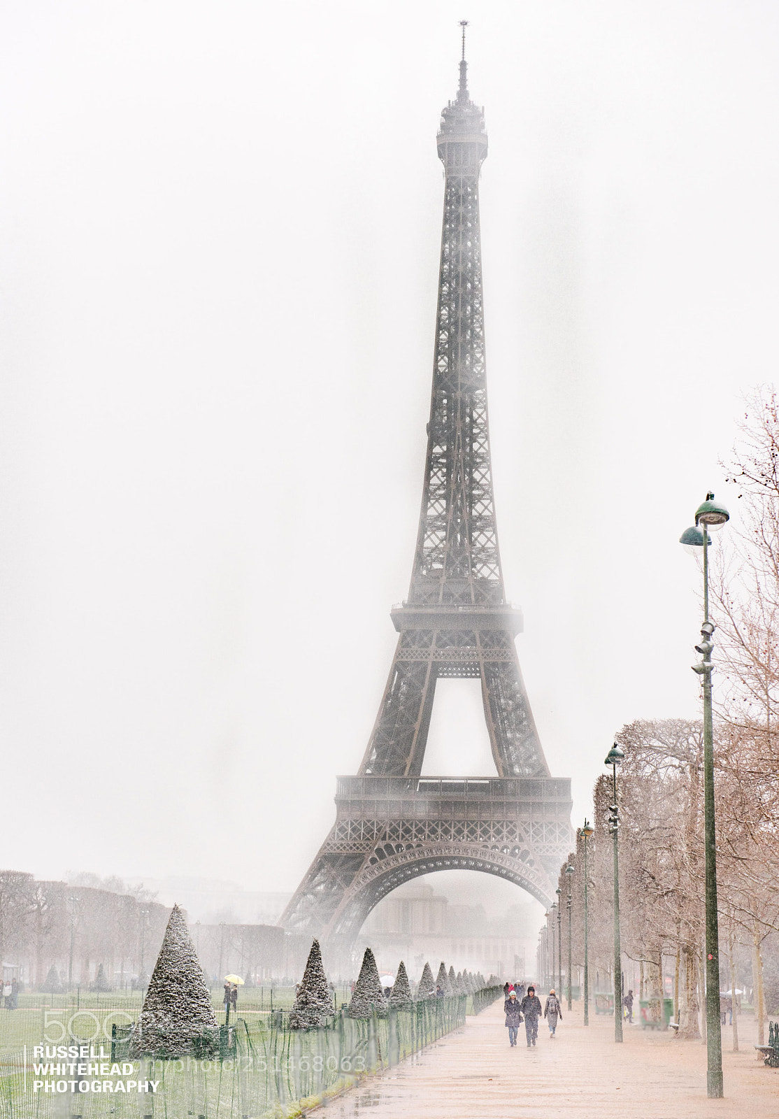 Nikon D810 sample photo. Eiffel  tower in snow photography