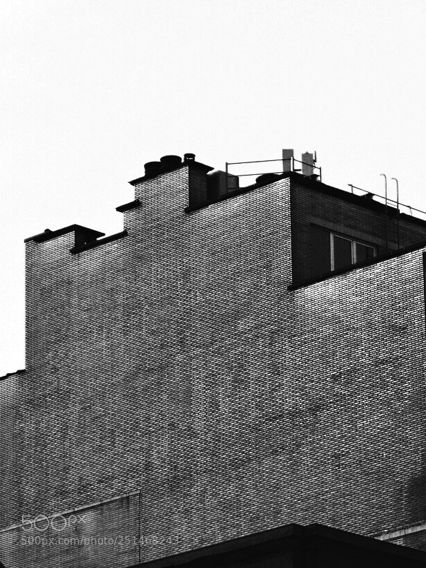 Olympus OM-D E-M10 II sample photo. Brick wall photography