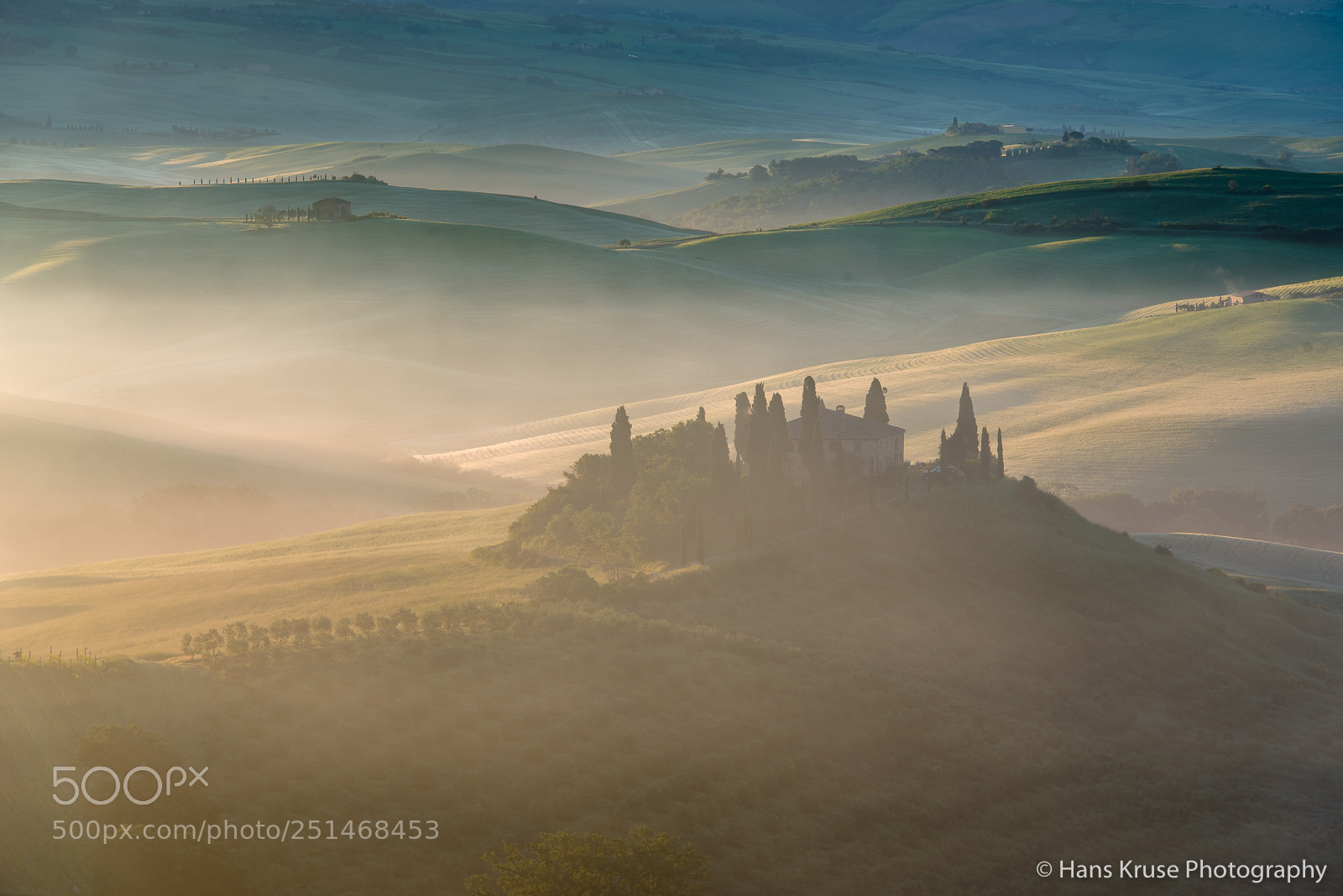 Nikon D800E sample photo. Morning light at belvedere photography