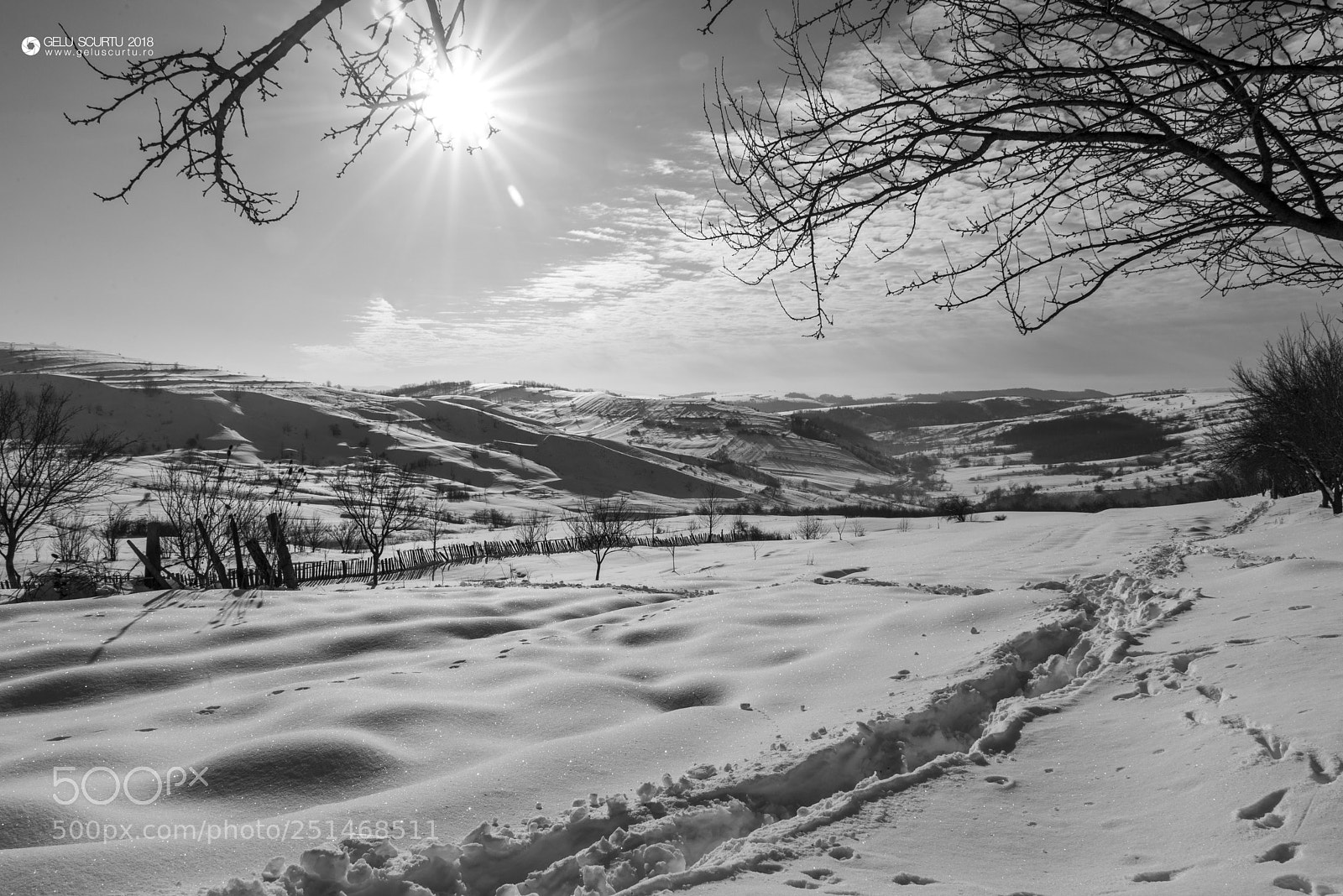 Nikon D610 sample photo. Winther photography