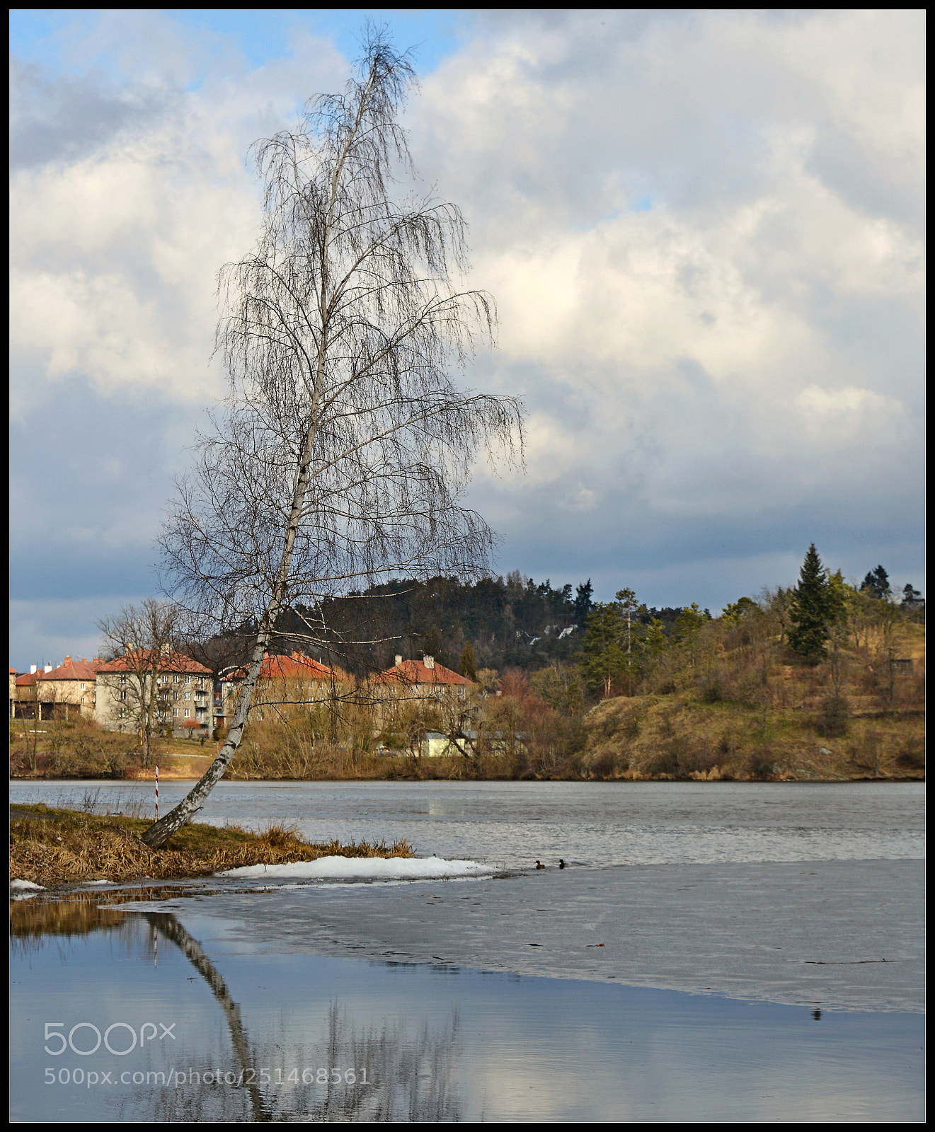 Nikon D3200 sample photo. Tree and water photography